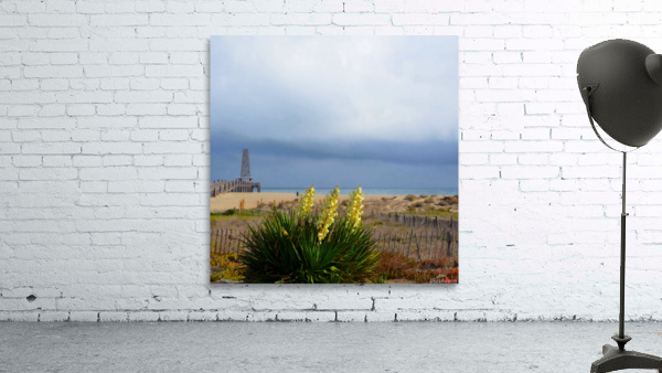 LEUCATE 2 Wall Preview