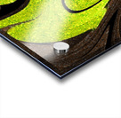 Chartreuse  Acrylic print