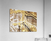Adore Acrylic Print