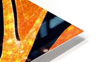 Golden Flame HD Metal print