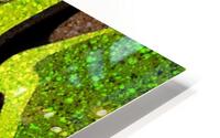 Chartreuse  HD Metal print