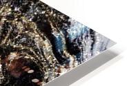 Sahara Noir HD Metal print