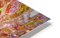 Blossom  HD Metal print