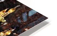 Empress HD Metal print