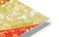 Coral Pebbles  HD Metal print