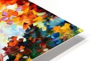 The Rainbow World HD Metal print