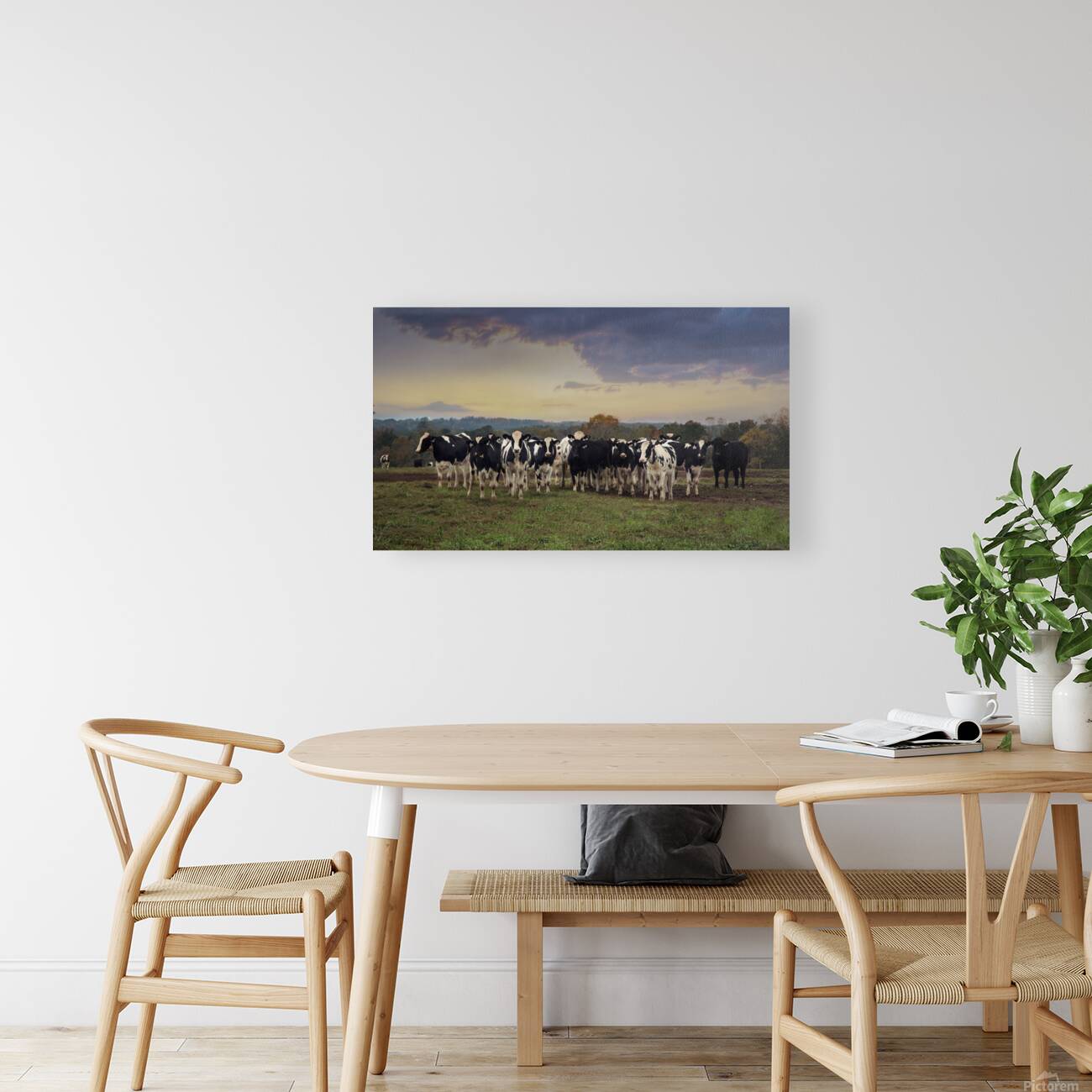 Cows in the field Reproduction