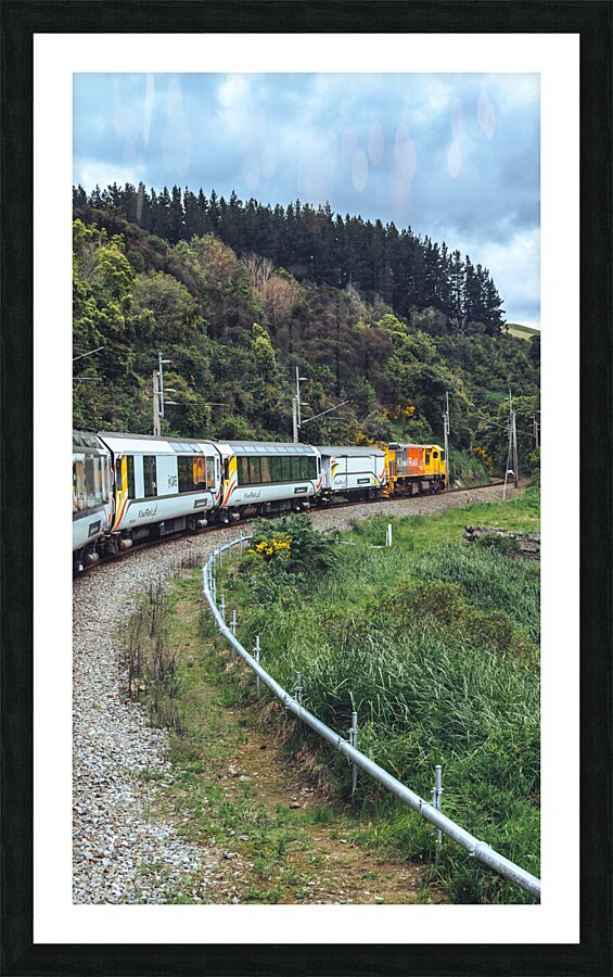 Tourist Train Picture Frame print