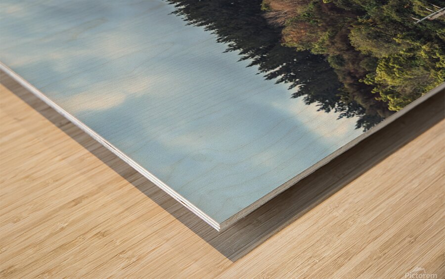 Tourist Train Wood print