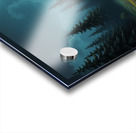 Vibrant Wildflowers Tranquil Night Scene Wall Dec Acrylic print