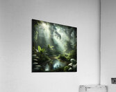 Tropical Rainforest Acrylic Giclee Print Acrylic Print