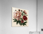 Floral Artwork Poster Botanical Print Acrylic Print