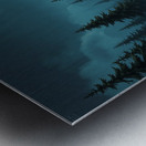 Vibrant Wildflowers Tranquil Night Scene Wall Dec Metal print