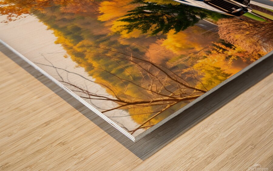 American Muscle car 1969 Wood print