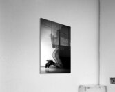 Felina  Acrylic Print