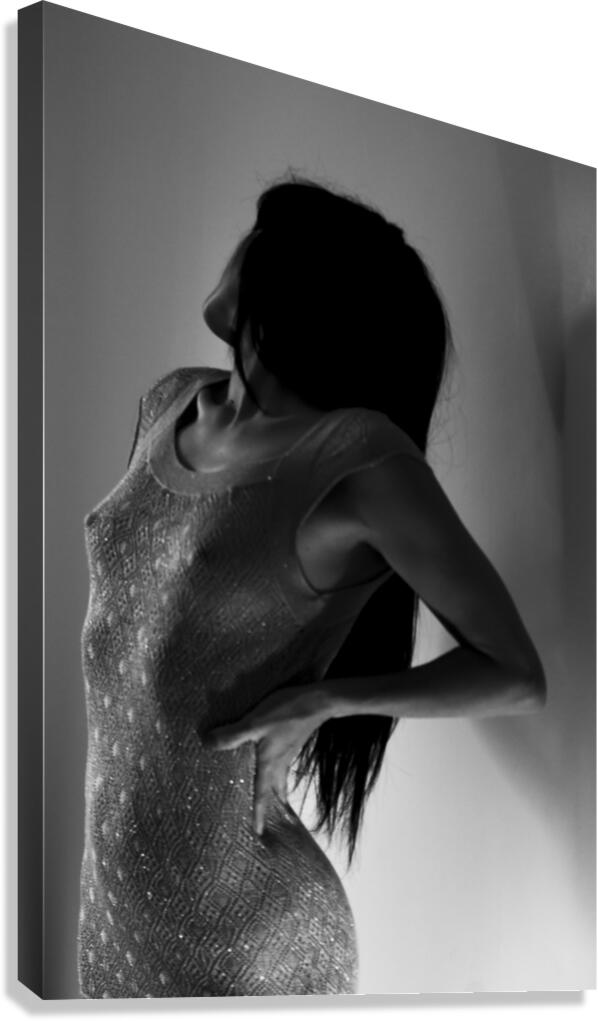 The dress Canvas Print