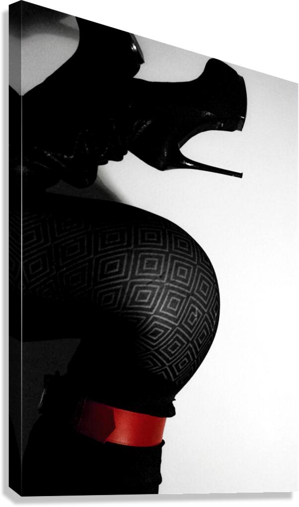 Red belt Canvas Print