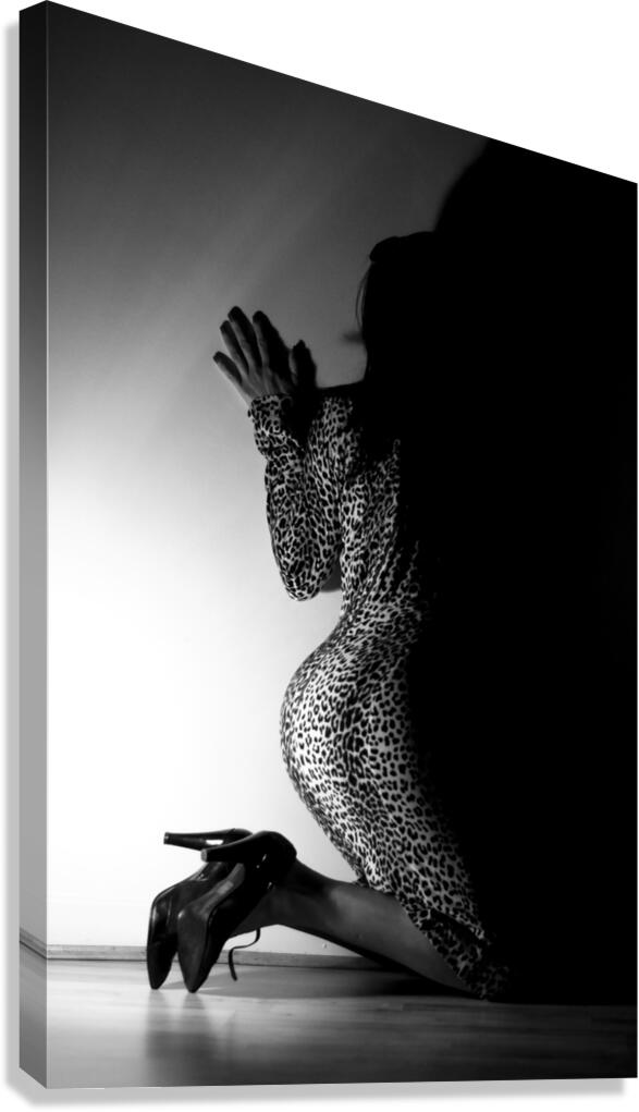 Felina  Canvas Print