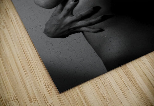 wet Maria Vasquez puzzle