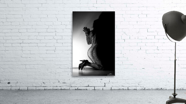 Felina  Wall Preview