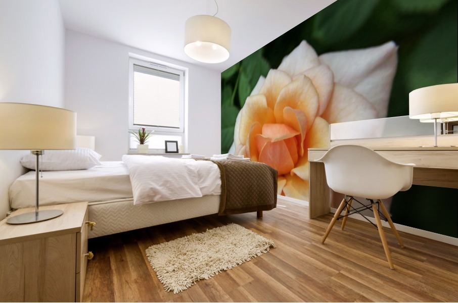 Pretty as a Rose Mural print