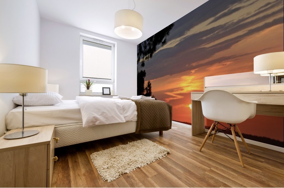 Sunset Reflection at the Dock Mural print