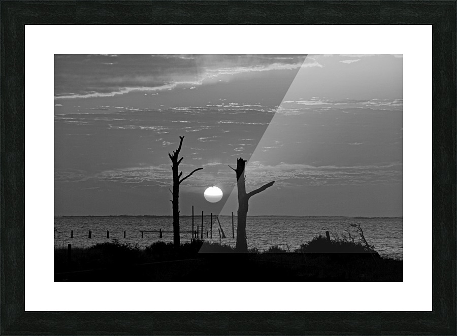 BW Two Tree Sunset Picture Frame print