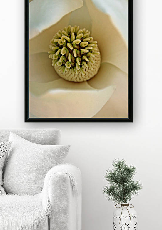 Heart of the Magnolia by Deb Colombo