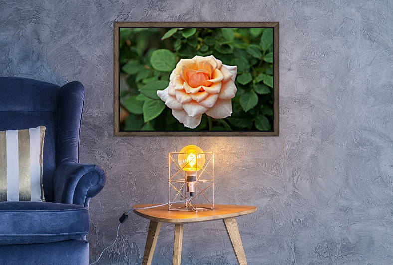 Pretty as a Rose II by Deb Colombo