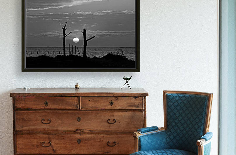 BW Two Tree Sunset by Deb Colombo