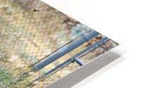 Lonely School Desk HD Metal print