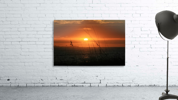 Sea Grass Sunset Wall Preview