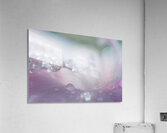 Another Realm Acrylic Print