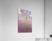 Monet Spring  Acrylic Print