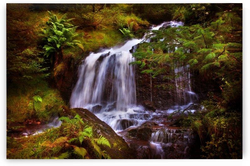 Wilderness. Rest & Be Thankful. Scotland by Jenny Rainbow