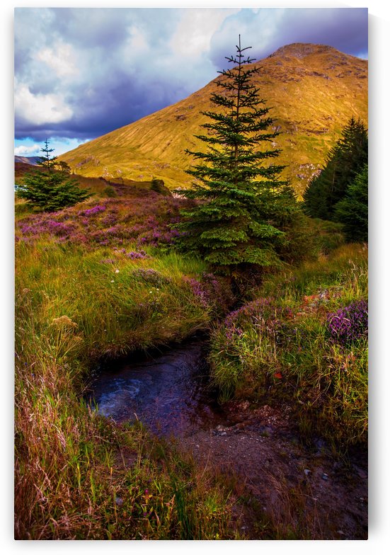 Beauty all Around. Rest and Be Thankful. Scotland by Jenny Rainbow