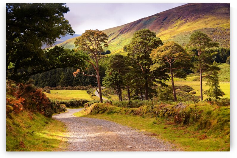 Celtic Spirit  - Wicklow Mountains - Ireland by Jenny Rainbow