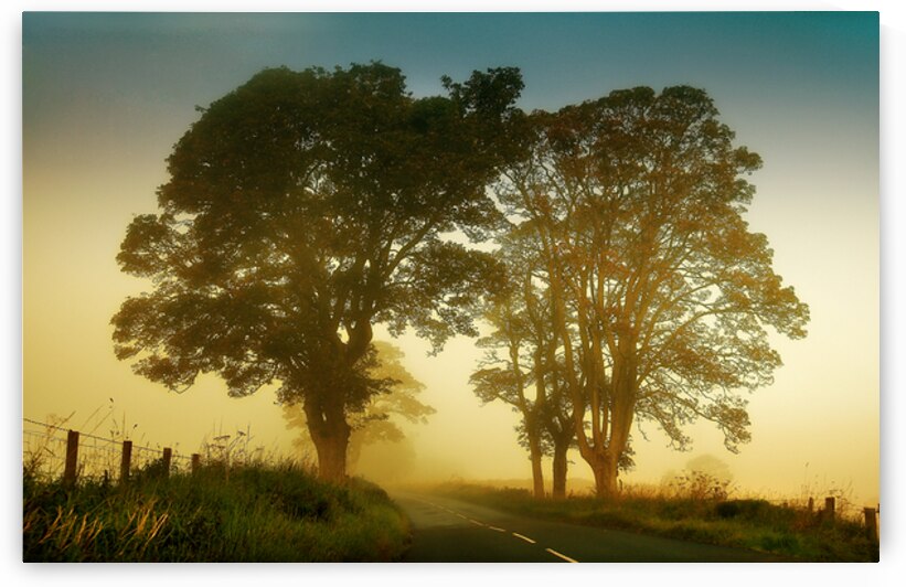 Twilight Guardians. Misty Roads of Scotland by Jenny Rainbow