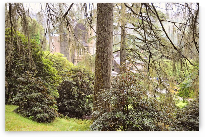 Gentle Light in the Magic Forest. Benmore Botanical Garden. Scotland by Jenny Rainbow