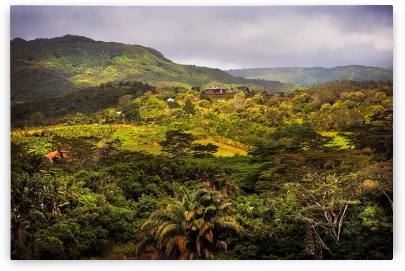 Chamarel Natural Park. Mauritius by Jenny Rainbow