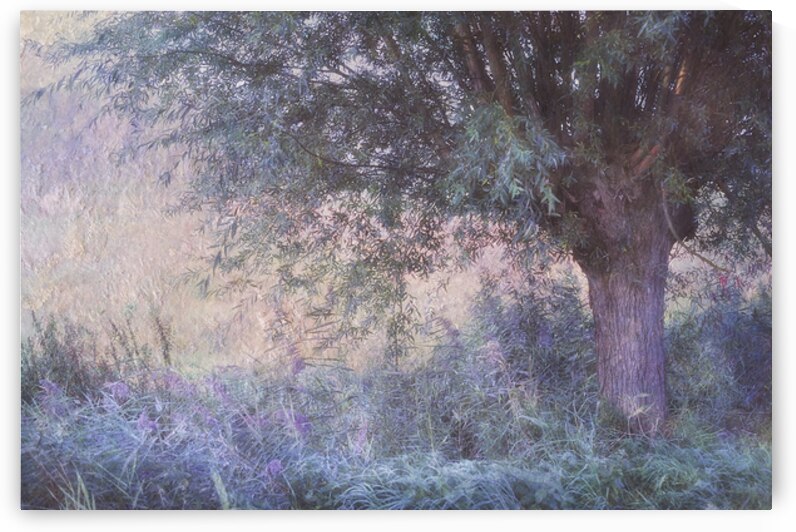 Blue Willow. Monet Style by Jenny Rainbow