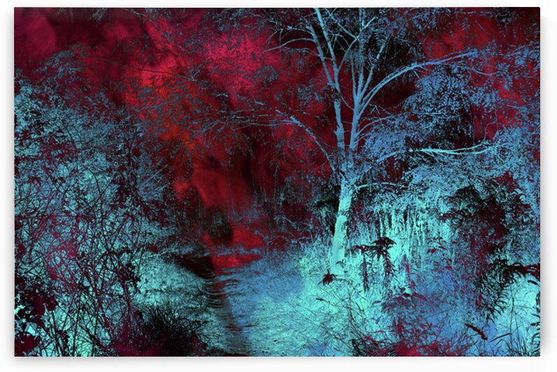 Burgundy Red MoonLight by Jenny Rainbow