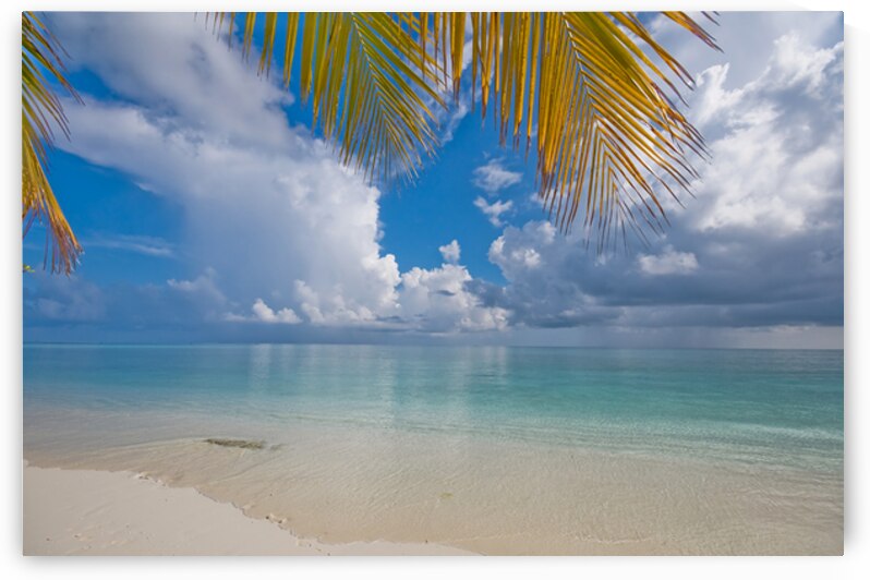 Postcard Perfection. Maldives by Jenny Rainbow