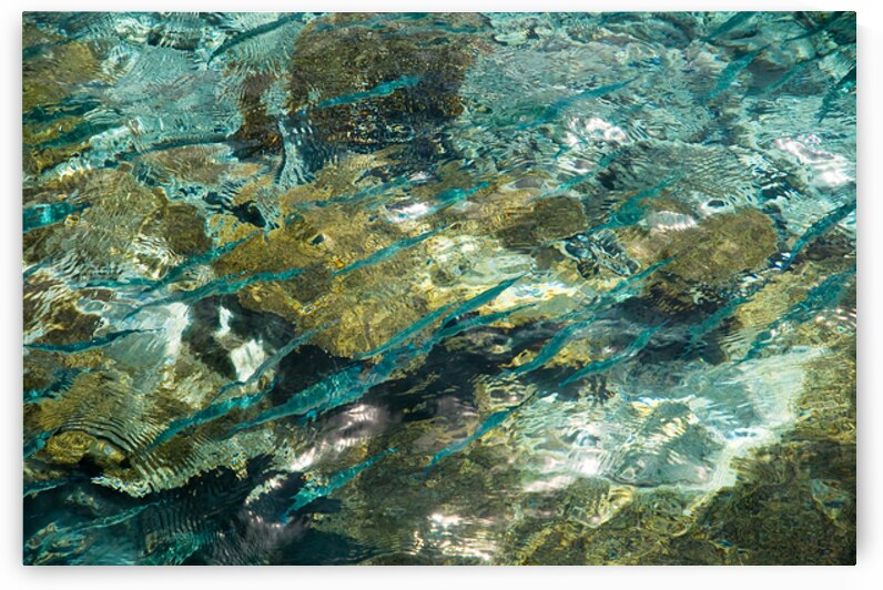 Abstract of the Underwater World by Jenny Rainbow