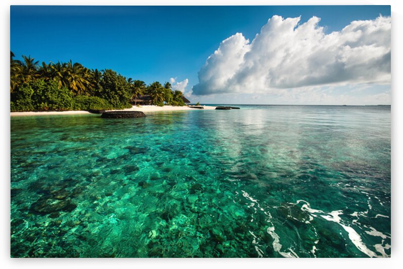 Emerald Purity. Kuramathi Resort. Maldives by Jenny Rainbow