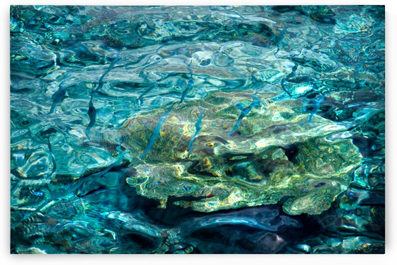 Blue Fishes in Blue Water by Jenny Rainbow