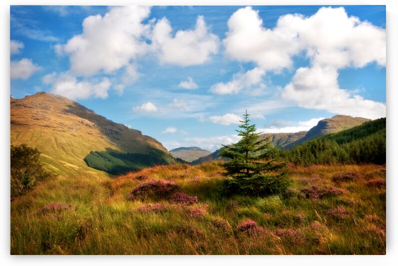 Mountain Pastoral. Rest and Be Thankful. Scotland by Jenny Rainbow