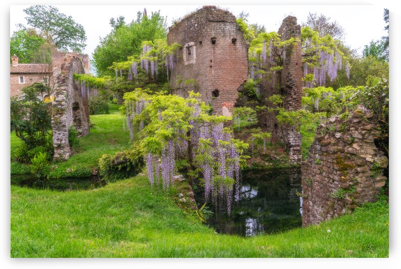 Italian Gardens - Romantic Garden of Ninfa 3  by Jenny Rainbow