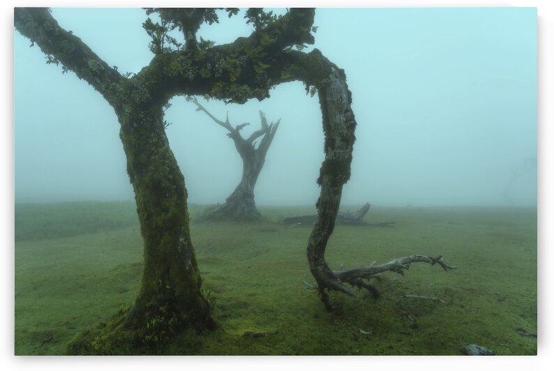 The Valley of Lost Souls - In Frame by Jenny Rainbow