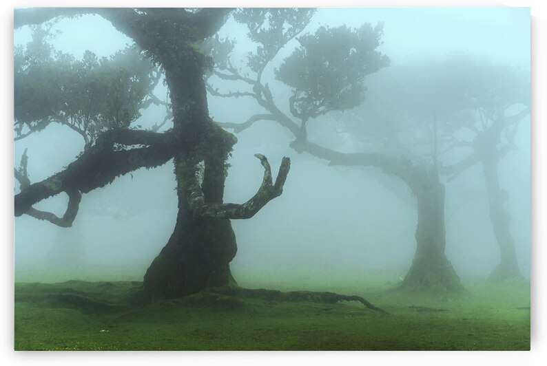 The Valley of Lost Souls - Come Closer by Jenny Rainbow